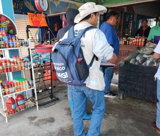 Encuestadores del Inegi despliegan su labor en Tamaulipas / Alejandro del Ángel